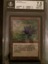Black Lotus - Beta - BGS graded 7.5 (9.5, 7.5, 6.5, 7.5) MTG Magic BFG